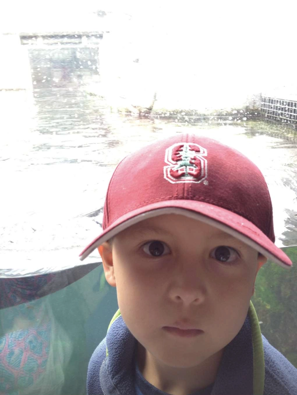 a picture of toddler me wearing a stanford hat
